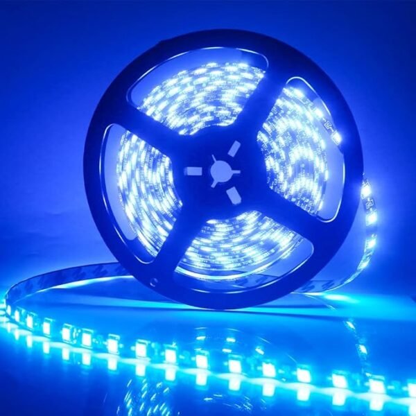 5050 Çip Silikonlu Şerit Led 24v Mavi 5 Metre
